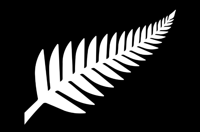 ニュージーランドの国旗が変更に 代表チームのエンブレムそっくりになる