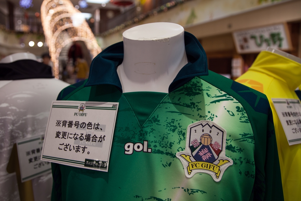 fc-gifu-2015-gol